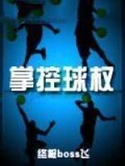 掌控球权 终极boss 飞