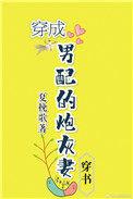 穿成男配的炮灰妻穿书全文免费阅读