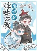 胖柴不废要崛起txt百度