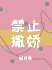 禁止撒娇txt宝书网