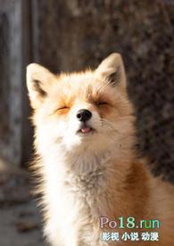 睡了反派男二之后番外