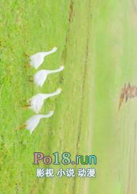 中医院阜阳