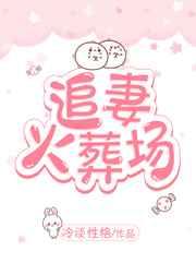 书名是追妻火葬场