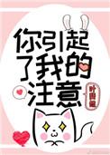你引起了我的注意网剧