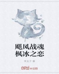 飓风战魂枫冰之恋书