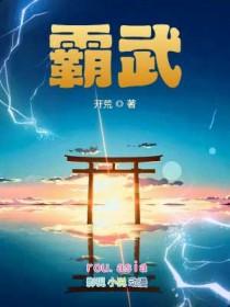 霸武邪皇传湖安