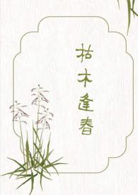 枯木逢春主题曲