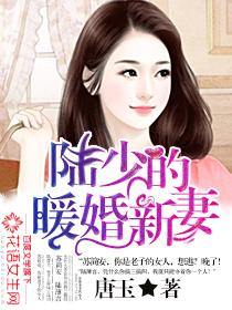 陆少的暖婚新妻在线观看