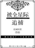 被全星际追捕追风网