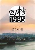 回档1995 爱看天