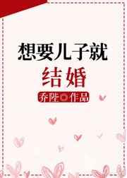 想要儿子就结婚作者乔陛