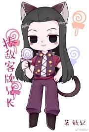 综揍敌客的自我修养出书版10个番外