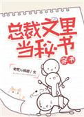 总裁文是啥