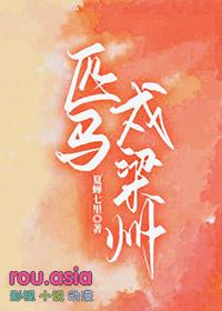 匹马戍梁州全诗翻译