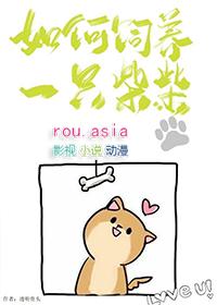 柴犬喂养指南 教你如何养好柴犬