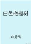 白色橄榄树讲的是什么