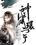 战环宇个人简历