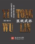 医统江山无弹窗