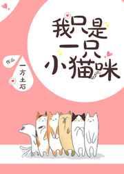 我只是一只小猫咪什么意思