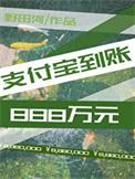 支付宝到账888万元好看吗