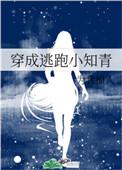 穿成逃跑小知青书包网