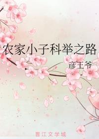农家小子科举之路全本