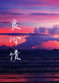 良心债1—8集民间小调