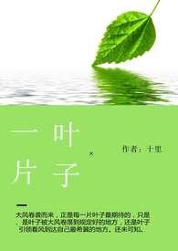 一片叶子的