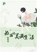 极品快穿文