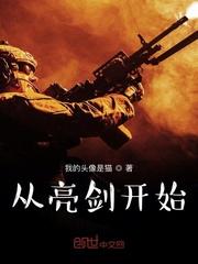 从亮剑开始崛起有声免费