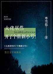 大佬居然开了个萌新小号阅读体