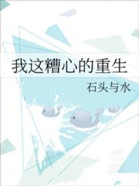 我这糟心的重生TXT石头与水