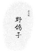野鸽子图片