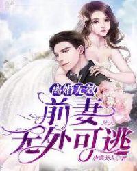 前妻离婚无效男主是谁