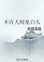 不许人间见白头电视剧
