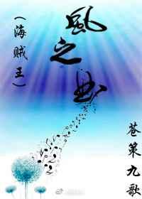 海贼王1028风之