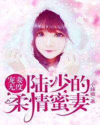 宠妻无度陆少请节制