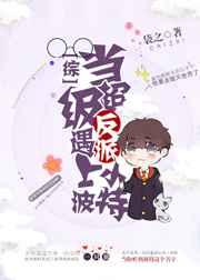 当超级反派遇上小波特[综