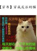 穿成反派的猫后我称霸娱乐圈gl笔趣阁