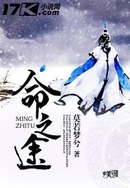 命之途境界详细解析