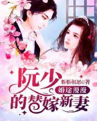 婚漫漫婚途陆少求放过全文免费