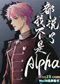 都说了我不是alpha肉车
