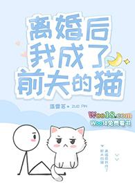 离婚后我成了前夫的猫免费阅读