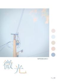 微光股份董事刘海平离任