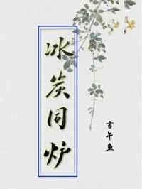 冰炭同炉by言午鱼txt