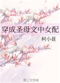 穿成圣母文中女配的