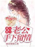 潜入豪门老公手下留情作者雨诗漫漫