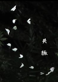 共振 知乎