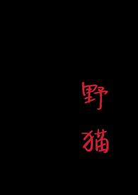 野猫会吃火腿肠吗