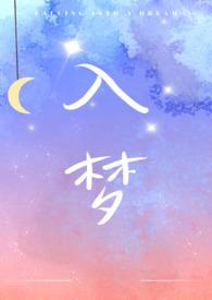 入梦snh48